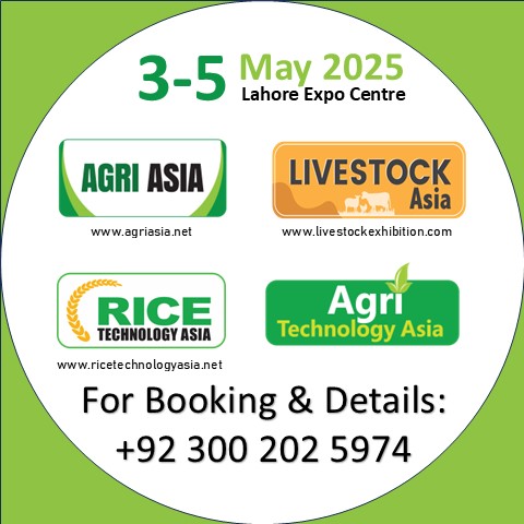 Rice Technology Asia